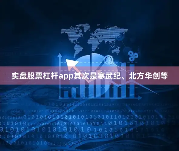 实盘股票杠杆app其次是寒武纪、北方华创等