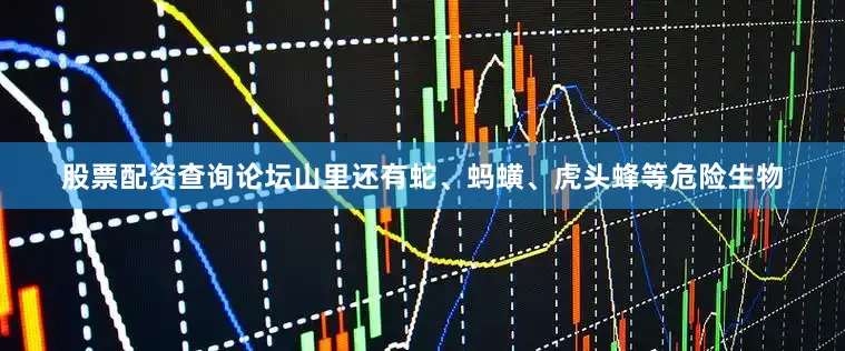 股票配资查询论坛山里还有蛇、蚂蟥、虎头蜂等危险生物