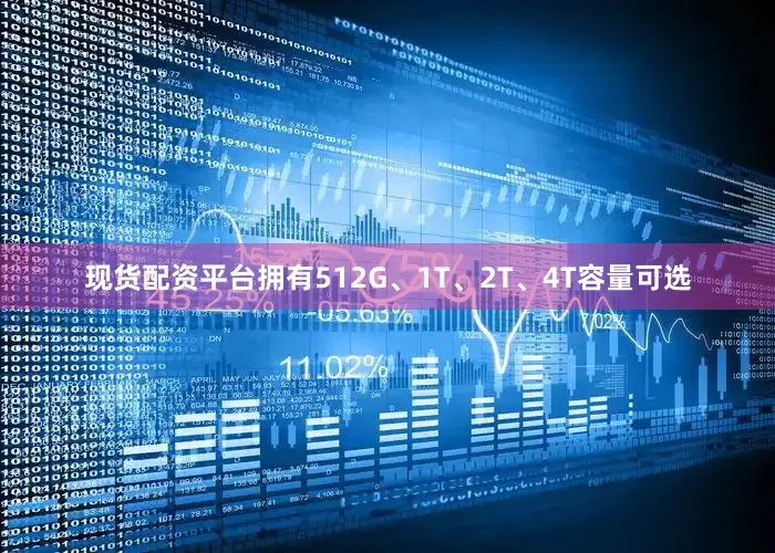 现货配资平台拥有512G、1T、2T、4T容量可选