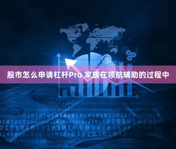 股市怎么申请杠杆Pro 家族在领航辅助的过程中